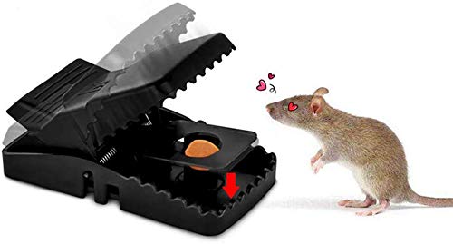12 Pieces Yardsky 12PCS Durable and Reusable Mouse Trap Catcher Rodent Control Easy to Use Mouse Trap Set Quick Response Safe Effective and Sanitary Mice Traps 